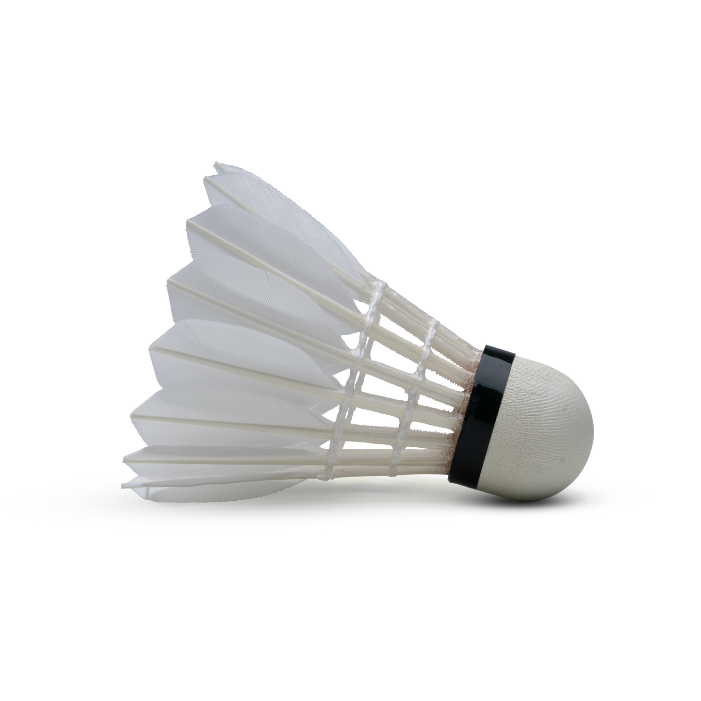 F5 Shuttlecock