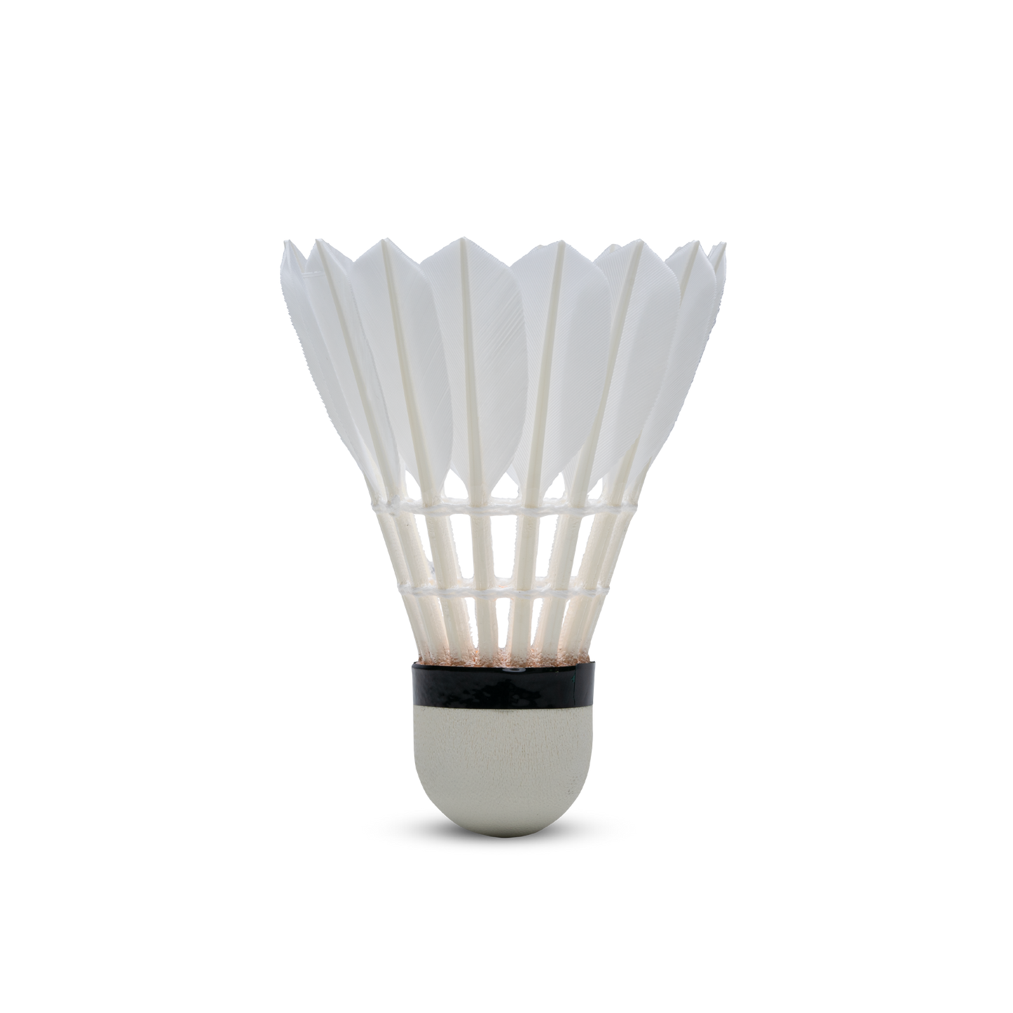 F8 Shuttlecock