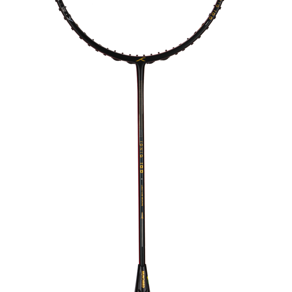 Ioniq 100 - 3U