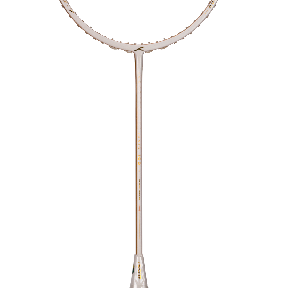 Ioniq 100 - 3U