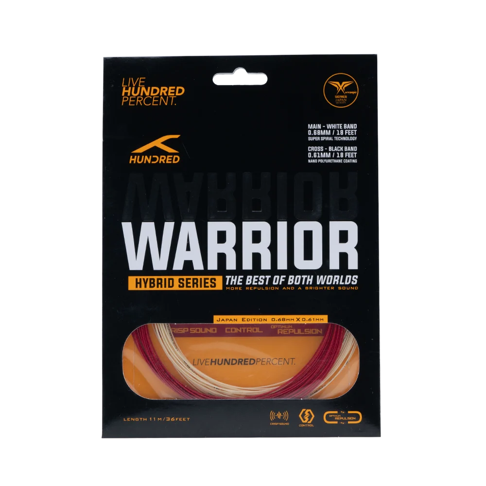 Hybrid Warrior