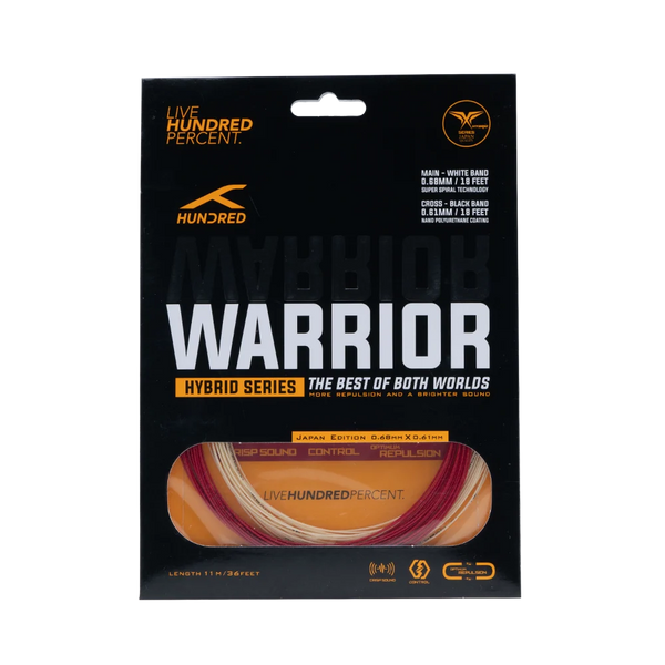 Hybrid Warrior