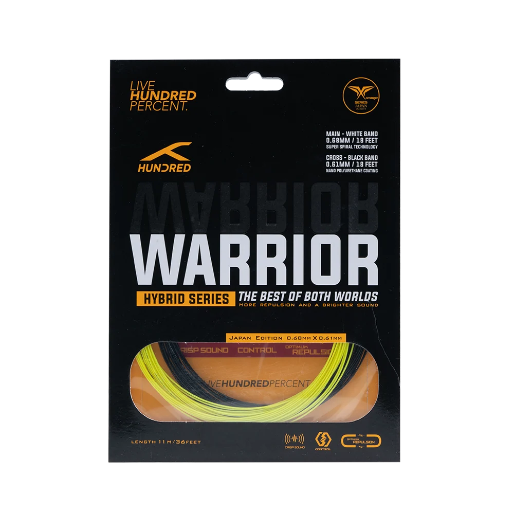 Hybrid Warrior