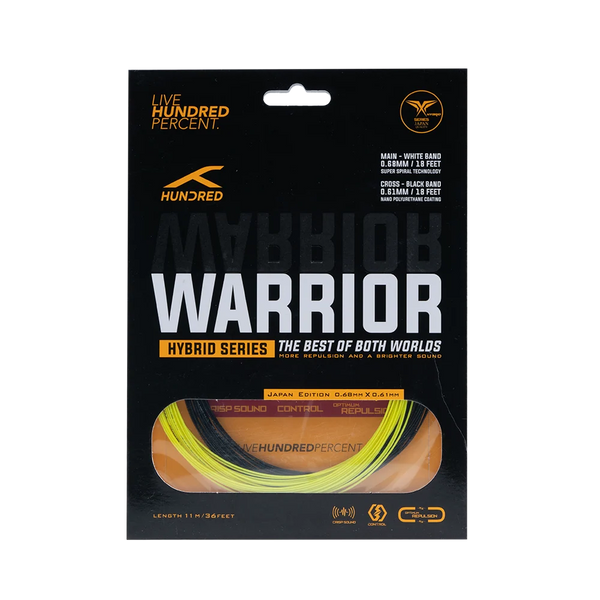Hybrid Warrior
