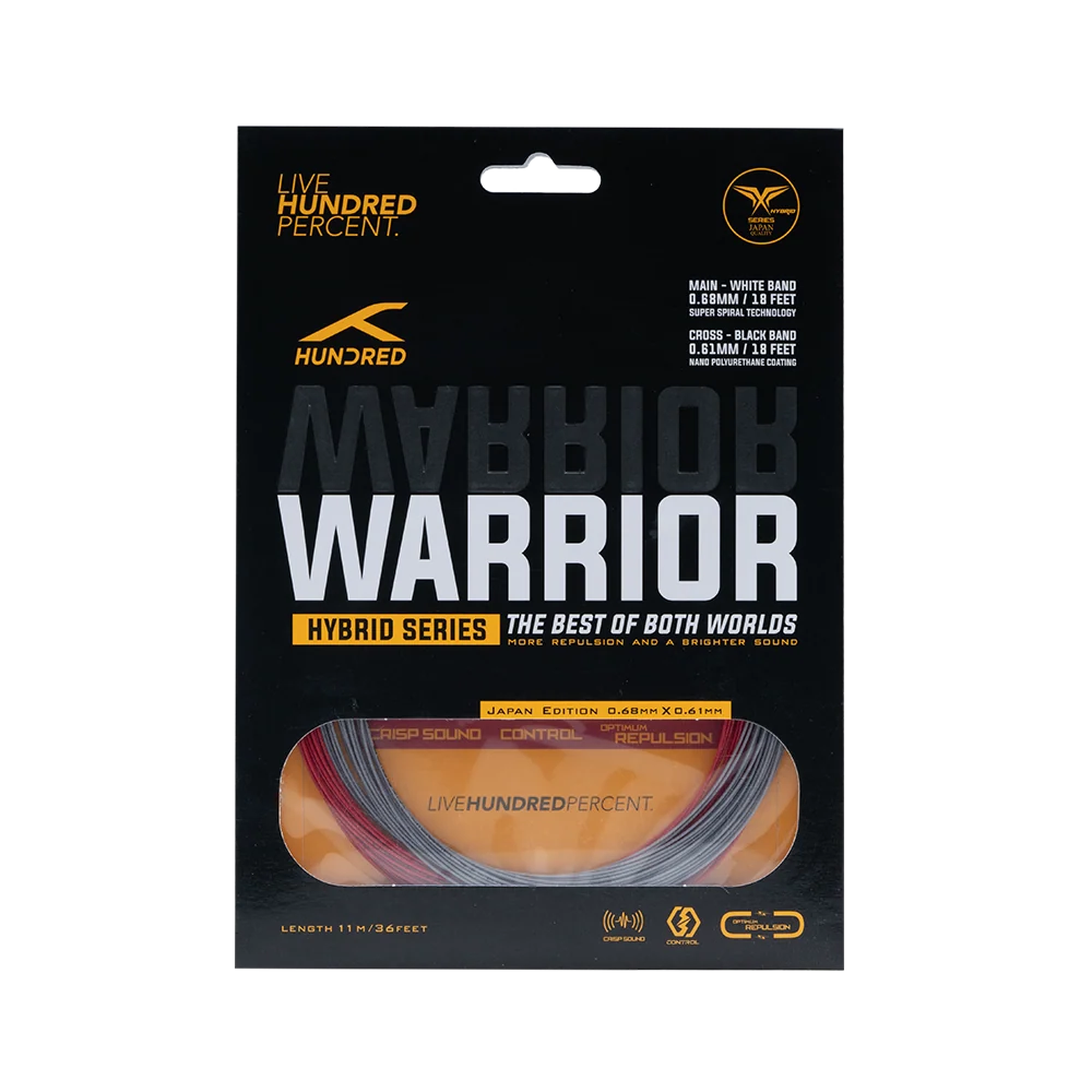 Hybrid Warrior