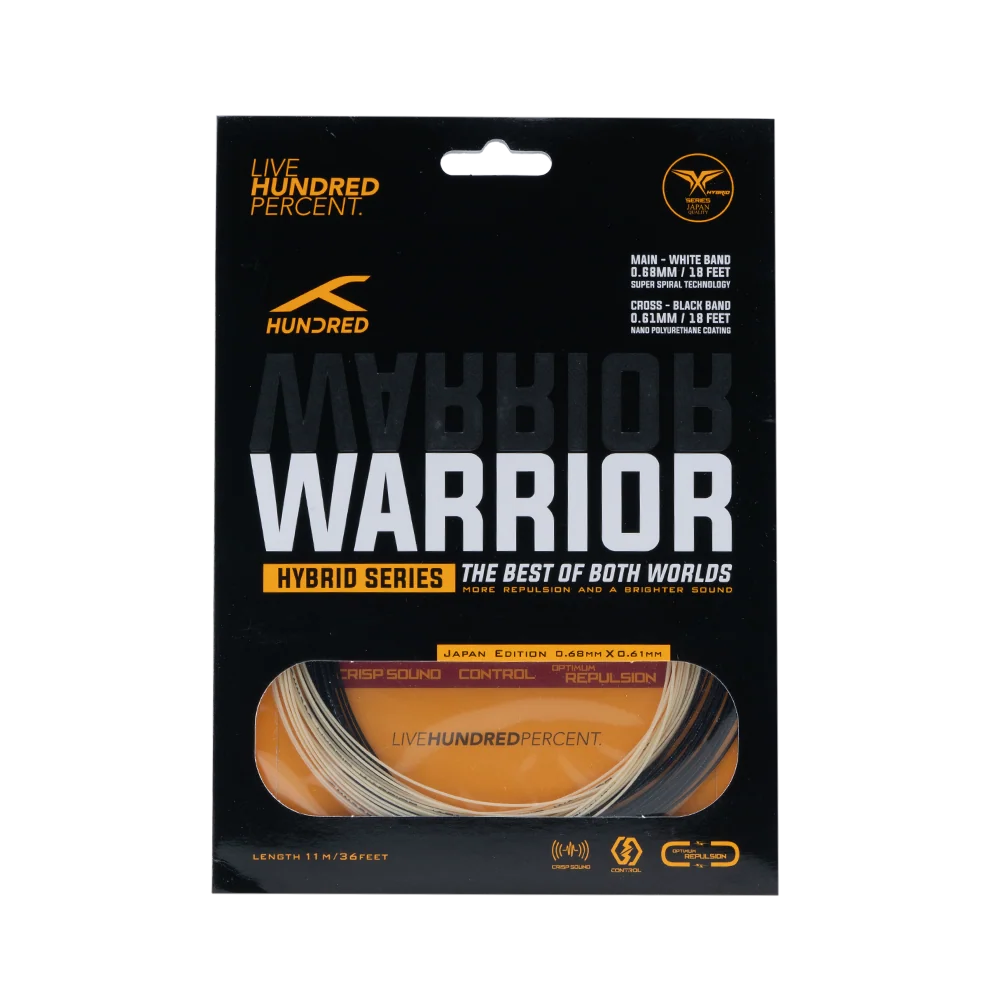 Hybrid Warrior