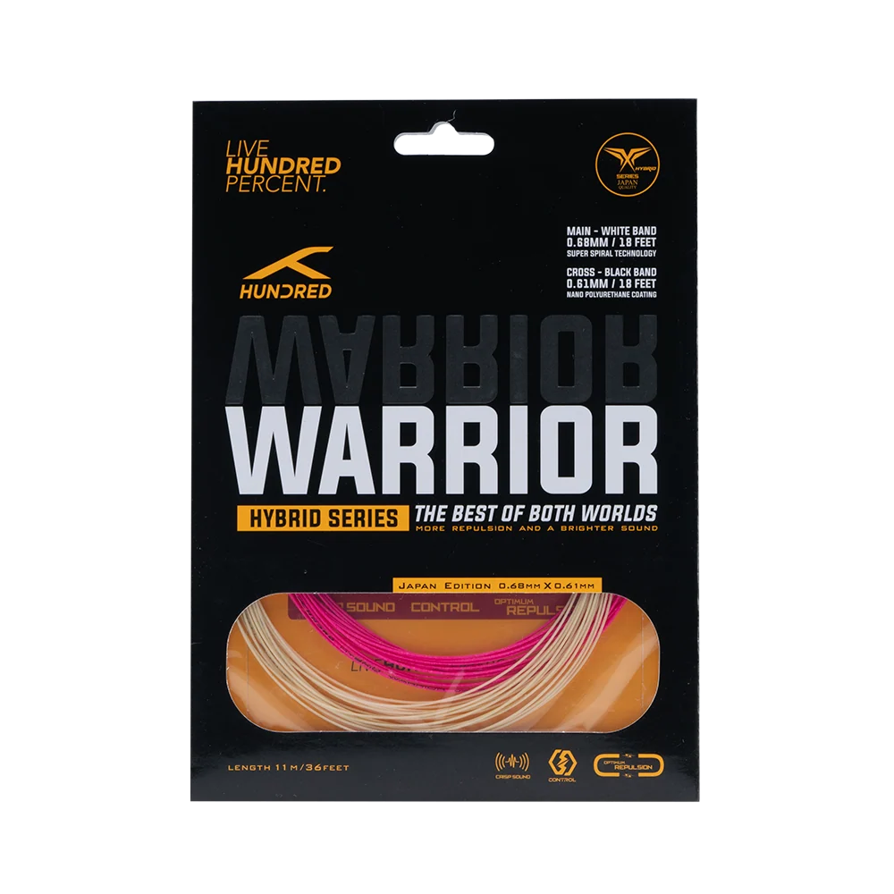 Hybrid Warrior
