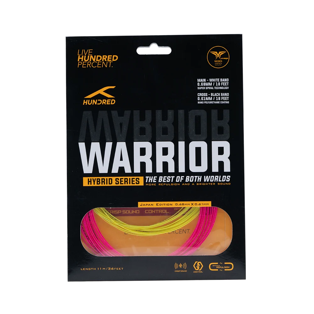 Hybrid Warrior