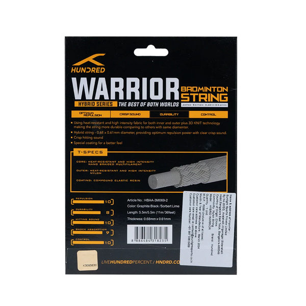 Hybrid Warrior