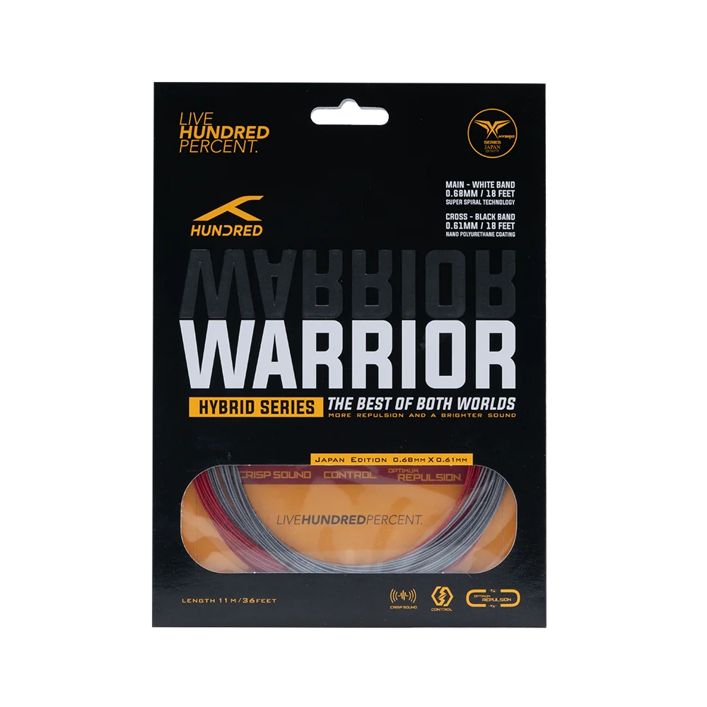Hybrid Warrior