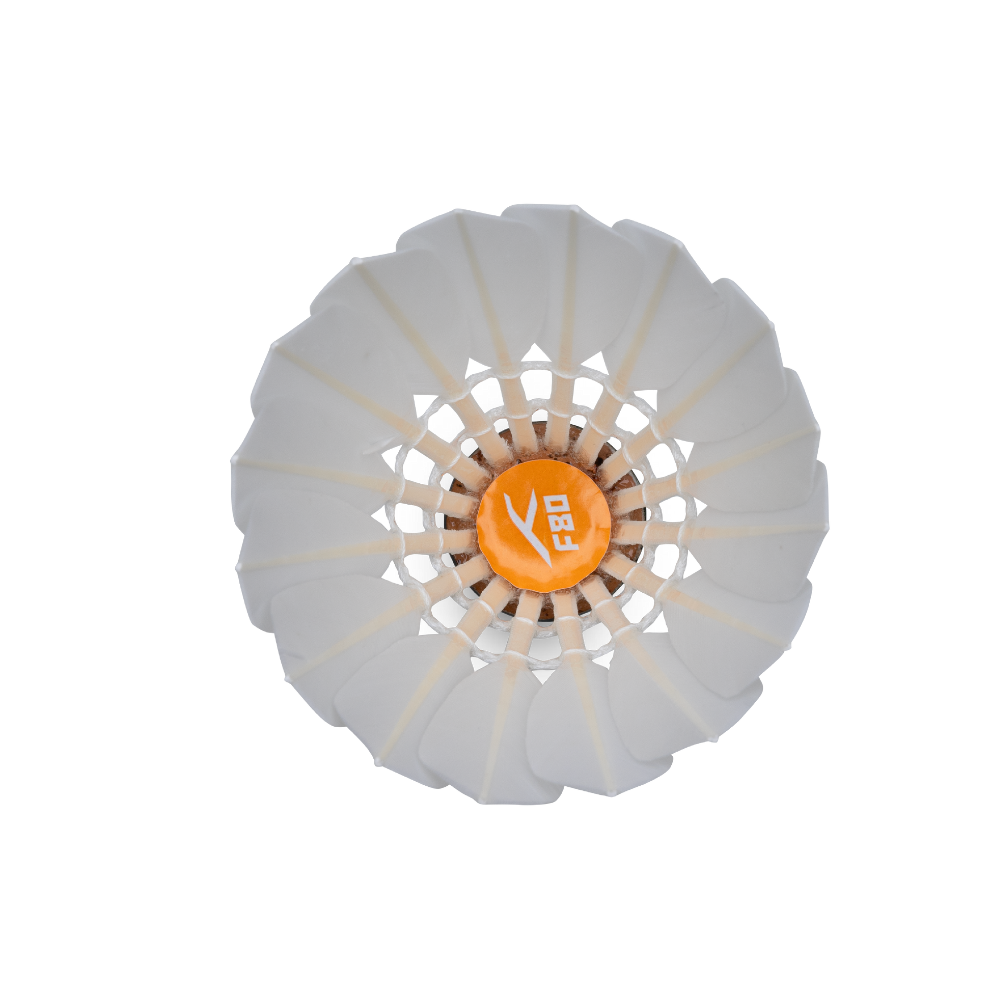 F80 Shuttlecock