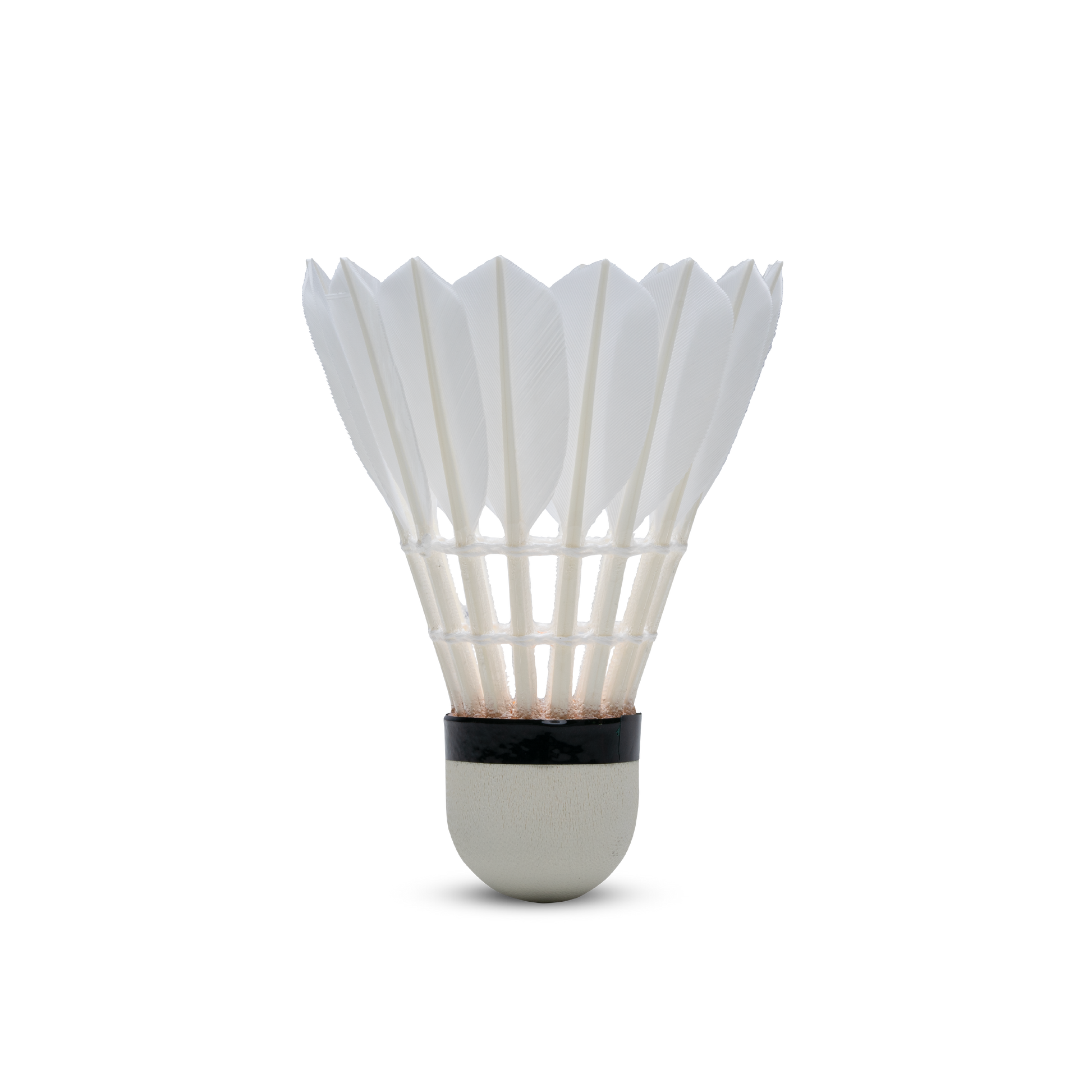 F8 Shuttlecock