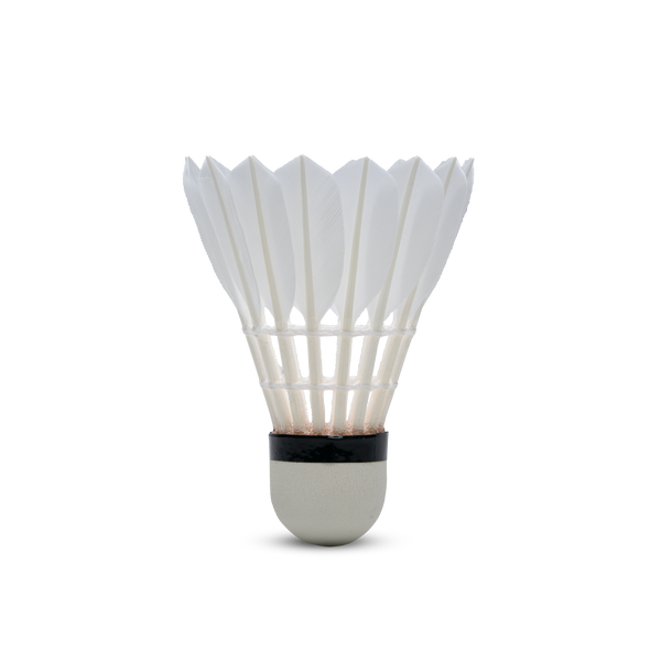 F8 Shuttlecock