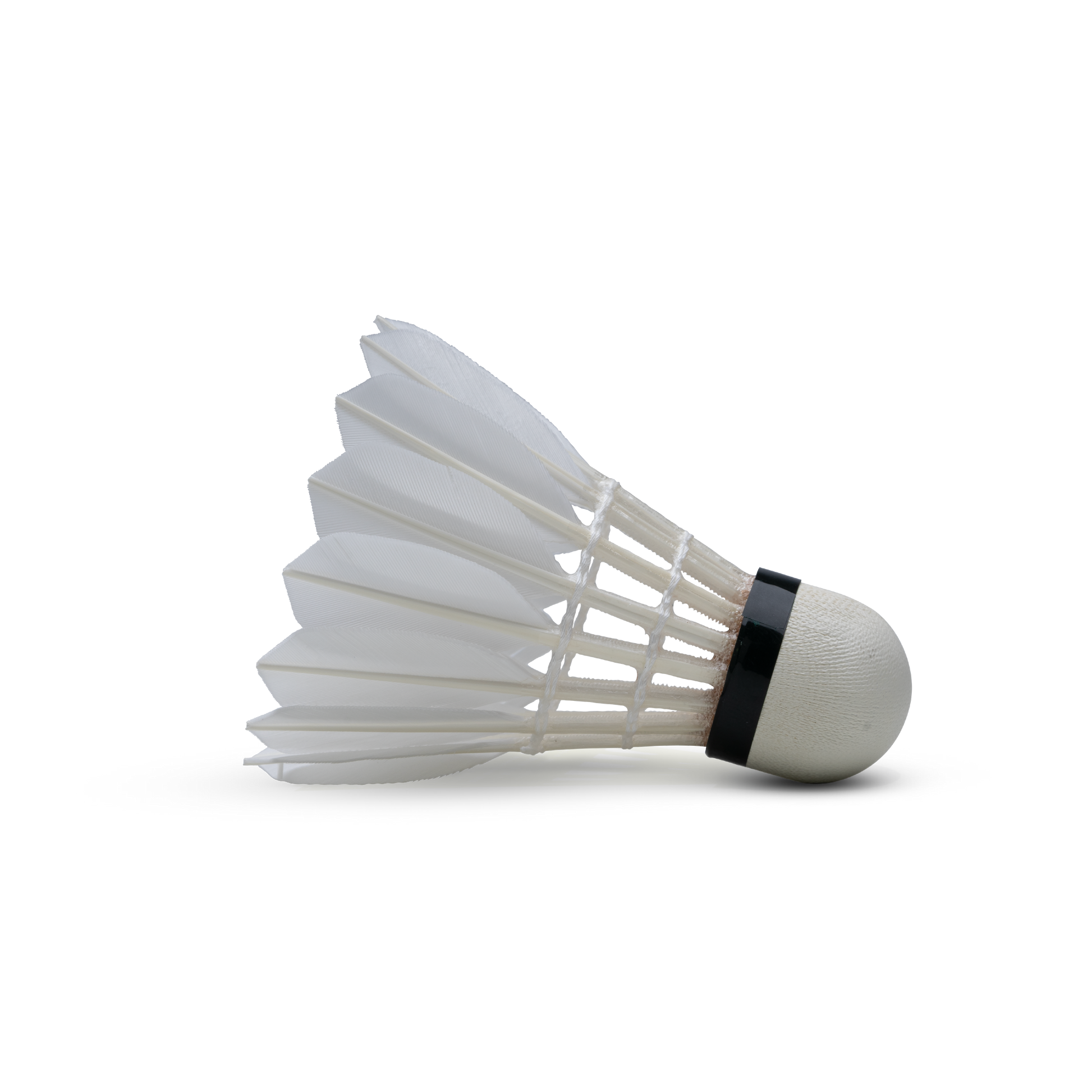 F1 Shuttlecock