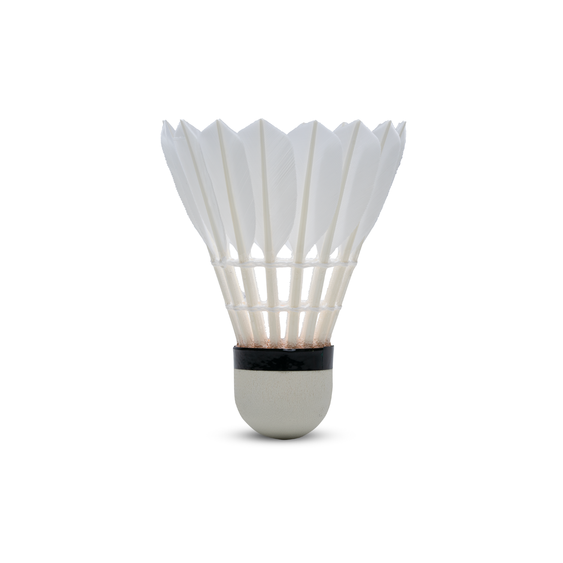 F80 Shuttlecock