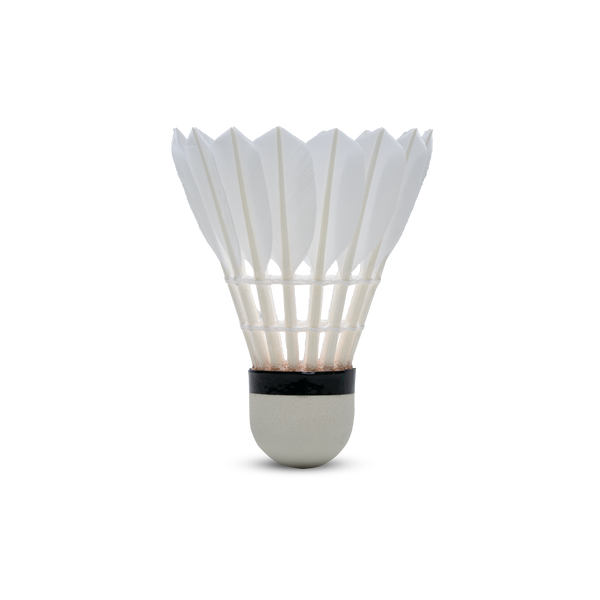 F80 Shuttlecock
